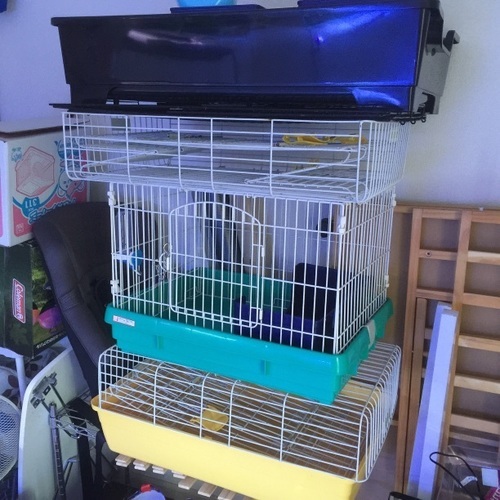 ペットゲージ（ウサギフェレット用）