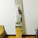 【¥0】シンプル全身鏡兼インテリアの画像