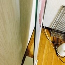 【¥0】シンプル全身鏡兼インテリアの画像