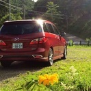 新車同様 特別仕様車 エアロ 17アルミ 両パワスラ HID クルコンの画像