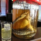 ～大人の趣味友グルメ会～趣味の合う友達、飲み友達、新しい友達、素敵な出会いを見つけよう - 友達