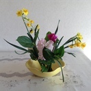 醍醐でいけばな（草月流・河内邦唱先生社中）の画像