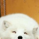 初心者歓迎!写真サークル - 友達