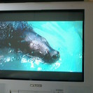 三菱ブラウン管テレビ2001年21型21C-L33 (s_pirit) 合志のテレビ