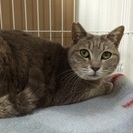 人馴れした可愛い女の子