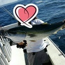 釣り仲間募集(^-^)/
