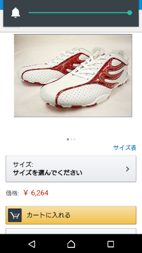 ドラゴンベアード 24.5cm 郵送相談OK