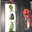 黄金虫入りブレスレットの画像