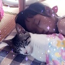 うちのリボンくんを引き取って下さい