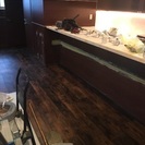 秋葉原で来月オープンしますの画像