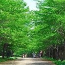 月１の週末で、映画・散策などをご一緒できる40代・50代の仲間を募集中！ - 友達