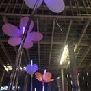二子玉で集まれー＼(^o^)／ - 世田谷区
