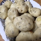 パン作りしたい。
