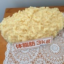 決意の３か月！夏までにやせたい方！ - 千葉市
