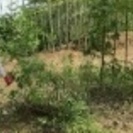 福島除染作業員