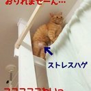 泣き顔のいじめられっ子 − 兵庫県