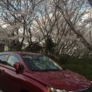 レクサス ワインレッドRX270の画像