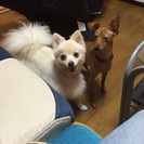 可愛がってくださる方