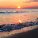 湘南鎌倉で世界中の旅人に囲まれて毎日がワクワク楽しいお仕事です・・・の画像