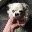 お願いします