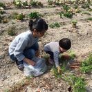 こどもを自然の中でのびのびと遊ばせたいな - ママ友