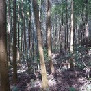 売地 山林 福岡市 東区