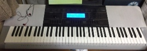CASIO WK-220ベーシックキーボード【値下げ】