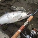 源流、渓流、本流釣り仲間募集