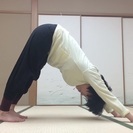 下高井戸であさよが、ピラティスやります - 調布市