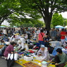 ◎◎「６月５日（日）光が丘公園ビッグフリーマーケット」◎◎ - フリーマーケット