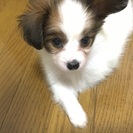 受付終了しました。