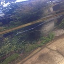 アイシス H17 両側Pスライド！ 検30年5月！の画像