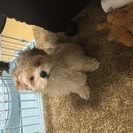 よろしくお願いします。