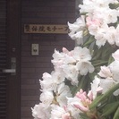 ガンバルあなたの身体にご褒美を！
