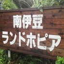 【南伊豆ランドホピア】貸別荘管理人　募集中！の画像