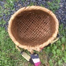 お引き取り様が決まりました。未使用ビク？の画像