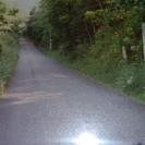 山の土地　譲ります！（レンタル又は交換応相談） − 千葉県