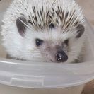 武蔵小山周辺で今日暇な人〜