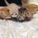 貰って下さい‼︎