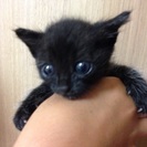 生後１週間ほど