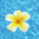 🔵肩こりの無い姿勢をつくる！【１５分間・ワンコインセミナー】５０...