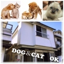 「犬猫OKの女性専用」加古川・明石・姫路ではシェアハウスはここだけ！！加古川駅徒歩１０分のペットと暮らせるシェアハウスOPEN − 兵庫県