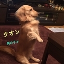 良縁有難うございましたm(_ _)m★☆出戻り・・・ロンリーダッ...