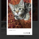 ３月生まれです。