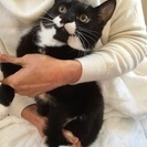 とてもスマートでカッコいい黒白お兄ちゃん♪