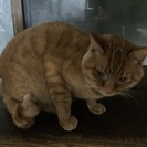 きぃちゃんです