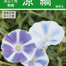 オリジナル育成 アサガオのタネの画像