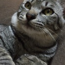 お兄ちゃん的な存在(*ˊ˘ˋ*)♪