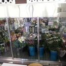 中古フラワーキーパーあげます！要条件ありの画像