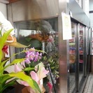 中古フラワーキーパーあげます！要条件ありの画像